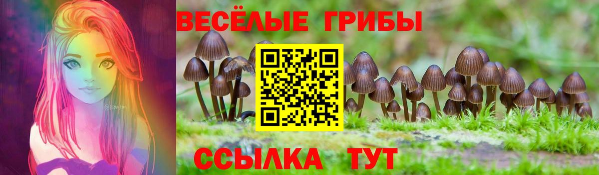 Ялуторовск  Галлюциногенные грибы MAGIC MUSHROOMS  даркнет сайт  Вход с VPN 